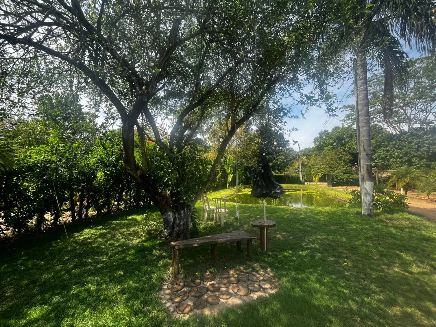 Comprar Rural / Chácara em Mococa R$ 405.000,00 - Foto 21