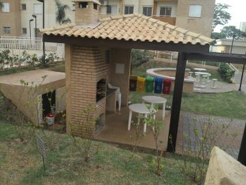 Alugar Apartamento / Padrão em Ribeirão Preto. apenas R$ 250.000,00