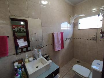 imagem 4 - Casa - Padrão imagem 4 - Casa - Padrão