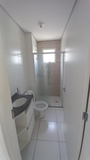imagem 3 - Apartamento com 2 dormitórios para venda por 195.000 Residencial Parque dos Manacás - São Carlos/SP imagem 3 - Apartamento com 2 dormitórios para venda por 195.000 Residencial Parque dos Manacás - São Carlos/SP