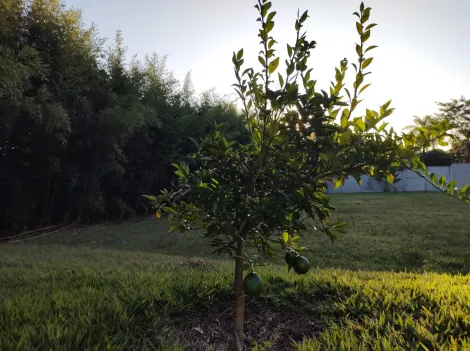 Chácara a Venda e locação com 3.000m² nas Chácaras do Vale em Mococa/SP., com 03 dormitórios sendo 03 suítes, área para festas e aniversários, cozinha,  edícula no fundo com churrasqueira, piscina, quintal grande, vagas para 14 carros.