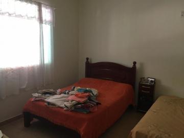 imagem 5 - Chácara à Venda com 3.120 m² no Jardim Progresso em Mococa/SP. com 03 dormitórios sendo um suíte, 04 banheiros, cozinha, despensa, área de serviço, área com churrasqueira e fogão a lenha, quintal grande com pomar, varanda e garagem para 4 carros coberta. imagem 5 - Chácara à Venda com 3.120 m² no Jardim Progresso em Mococa/SP. com 03 dormitórios sendo um suíte, 04 banheiros, cozinha, despensa, área de serviço, área com churrasqueira e fogão a lenha, quintal grande com pomar, varanda e garagem para 4 carros coberta.
