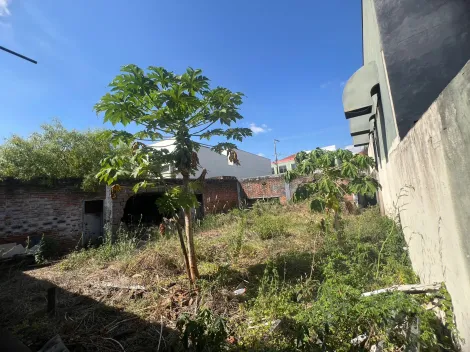 imagem 2 - Terreno à venda no Brás - Mococa (SP). imagem 2 - Terreno à venda no Brás - Mococa (SP).