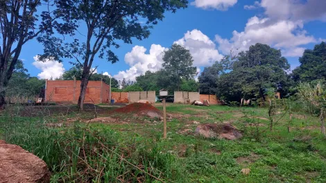 imagem 5 - Chácara à venda - São José do Rio Pardo (SP). imagem 5 - Chácara à venda - São José do Rio Pardo (SP).