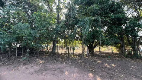 imagem 1 - Sitio à venda - Condomínio São José da Guardinha, Mococa (SP). imagem 1 - Sitio à venda - Condomínio São José da Guardinha, Mococa (SP).