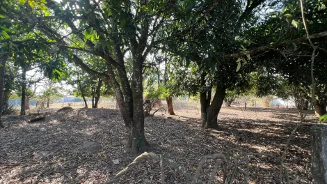 imagem 2 - Sitio à venda - Condomínio São José da Guardinha, Mococa (SP). imagem 2 - Sitio à venda - Condomínio São José da Guardinha, Mococa (SP).