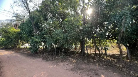 imagem 3 - Sitio à venda - Condomínio São José da Guardinha, Mococa (SP). imagem 3 - Sitio à venda - Condomínio São José da Guardinha, Mococa (SP).