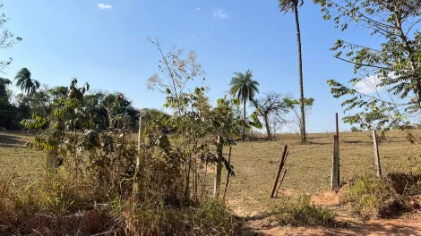 imagem 4 - Sitio à venda - Condomínio São José da Guardinha, Mococa (SP). imagem 4 - Sitio à venda - Condomínio São José da Guardinha, Mococa (SP).
