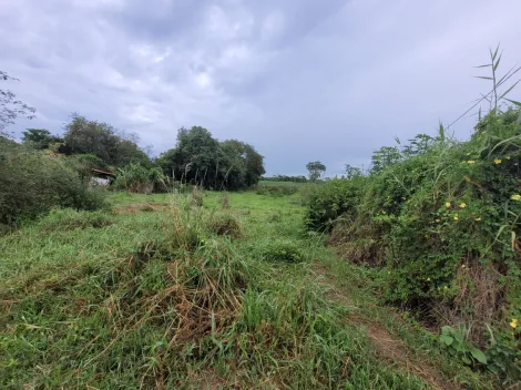 imagem 4 - Tereno à venda no Condomínio de Chácaras Apolinario em Mococa (SP). imagem 4 - Tereno à venda no Condomínio de Chácaras Apolinario em Mococa (SP).