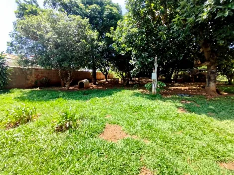 imagem 3 - Rural - Chácara imagem 3 - Rural - Chácara