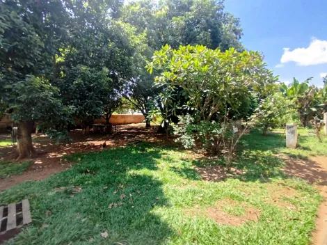 imagem 4 - Rural - Chácara imagem 4 - Rural - Chácara