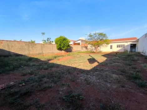 imagem 1 - Edícula com 2 dormitórios disponivel para locação no Jardim São Francisco - Mococa-SP imagem 1 - Edícula com 2 dormitórios disponivel para locação no Jardim São Francisco - Mococa-SP