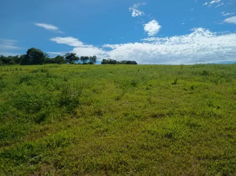 imagem 5 - Fazenda à venda em Monte Santo de Minas (MG). imagem 5 - Fazenda à venda em Monte Santo de Minas (MG).