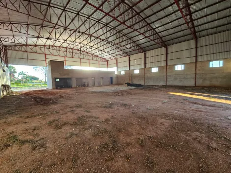 imagem 4 - Galpão Comercial com PÉ DIREITO DE 8M disponível para locação na MG 449 em Arceburgo/MG imagem 4 - Galpão Comercial com PÉ DIREITO DE 8M disponível para locação na MG 449 em Arceburgo/MG