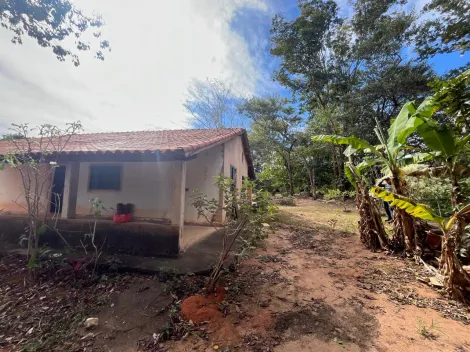 imagem 4 - Chácara à venda, 04 Dormitórios, 04 Vagas - chácara São Jose da Guardinha  , Mococa (SP). imagem 4 - Chácara à venda, 04 Dormitórios, 04 Vagas - chácara São Jose da Guardinha  , Mococa (SP).