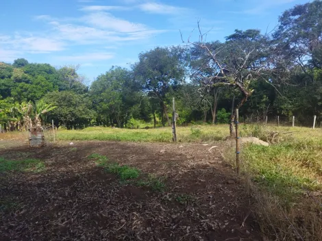 imagem 1 - Sítio à venda na estrada Copromen em Mococa (SP). imagem 1 - Sítio à venda na estrada Copromen em Mococa (SP).