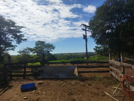 imagem 2 - Sítio à venda na estrada Copromen em Mococa (SP). imagem 2 - Sítio à venda na estrada Copromen em Mococa (SP).