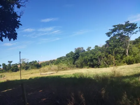 imagem 3 - Sítio à venda na estrada Copromen em Mococa (SP). imagem 3 - Sítio à venda na estrada Copromen em Mococa (SP).