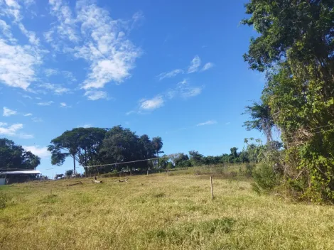 imagem 4 - Sítio à venda na estrada Copromen em Mococa (SP). imagem 4 - Sítio à venda na estrada Copromen em Mococa (SP).
