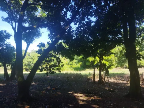 imagem 5 - Sítio à venda na estrada Copromen em Mococa (SP). imagem 5 - Sítio à venda na estrada Copromen em Mococa (SP).